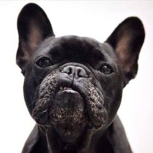 Meet your Posher, Antwain